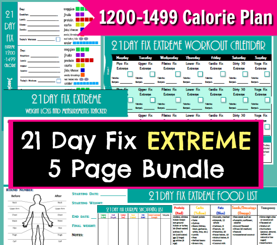 21 day fix extreme book pdf