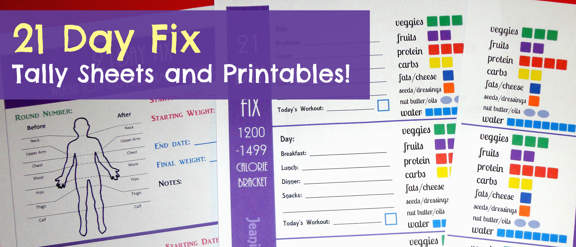 21 Day Fix Container Logging Tally Sheets and Printables