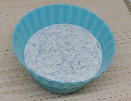 21 Day Fix Yogurt Dill Dip Recipe